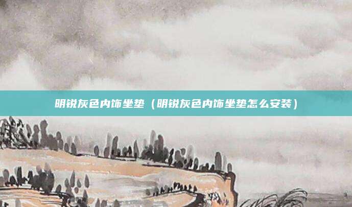 明锐灰色内饰坐垫(明锐灰色内饰坐垫怎么安装)