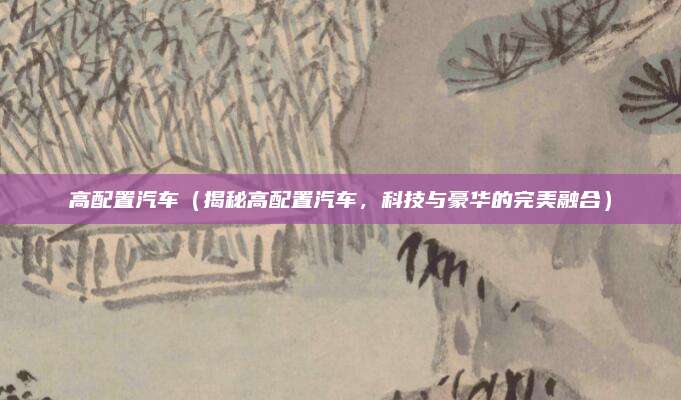 高配置汽车（揭秘高配置汽车，科技与豪华的完美融合）