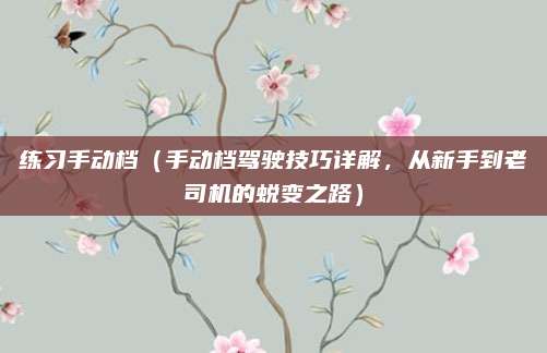 练习手动档(手动档驾驶技巧详解,从新手到老司机的蜕变之路)