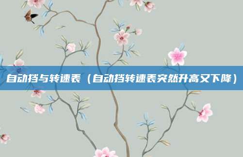 自动挡与转速表(自动挡转速表突然升高又下降)