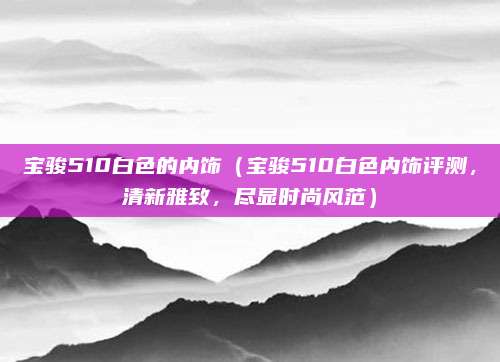 宝骏510白色的内饰（宝骏510白色内饰评测，清新雅致，尽显时尚风范）
