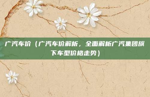 广汽车价（广汽车价解析，全面解析广汽集团旗下车型价格走势）