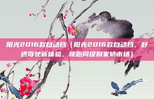 阳光2016款自动挡（阳光2016款自动挡，舒适驾驶新体验，领跑同级别家轿市场）
