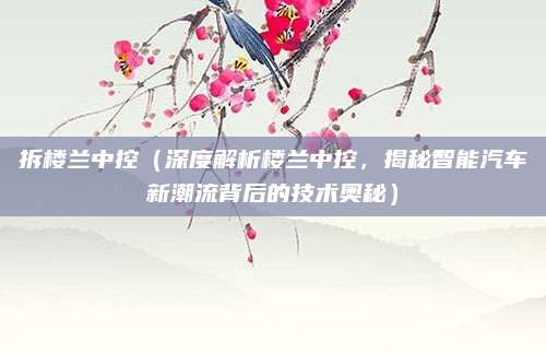 拆楼兰中控（深度解析楼兰中控，揭秘智能汽车新潮流背后的技术奥秘）