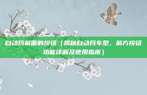 自动挡前面的按钮（揭秘自动挡车型，前方按钮功能详解及使用指南）