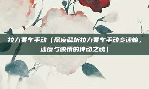 拉力赛车手动（深度解析拉力赛车手动变速箱，速度与激情的传动之魂）