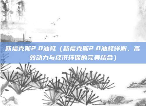 新福克斯2.0油耗（新福克斯2.0油耗详解，高效动力与经济环保的完美结合）