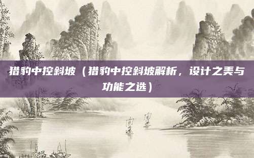 猎豹中控斜坡（猎豹中控斜坡解析，设计之美与功能之选）