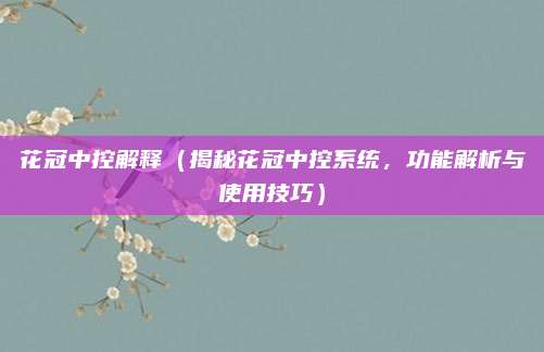 花冠中控解释(揭秘花冠中控系统,功能解析与使用技巧)