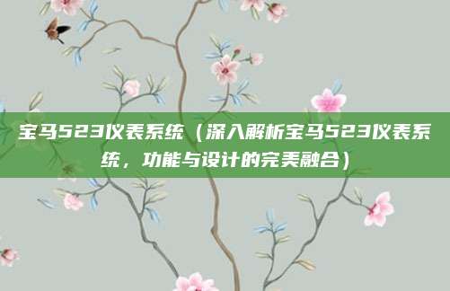 宝马523仪表系统（深入解析宝马523仪表系统，功能与设计的完美融合）