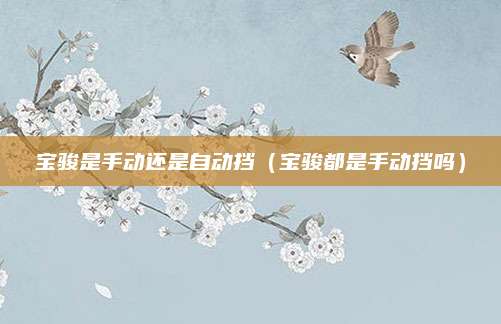 宝骏是手动还是自动挡(宝骏都是手动挡吗)