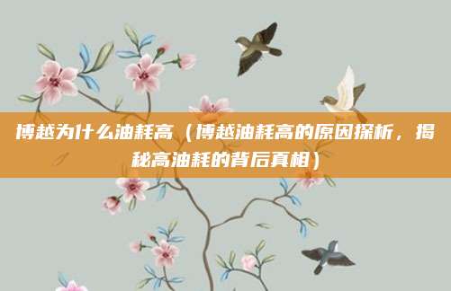 博越为什么油耗高（博越油耗高的原因探析，揭秘高油耗的背后真相）