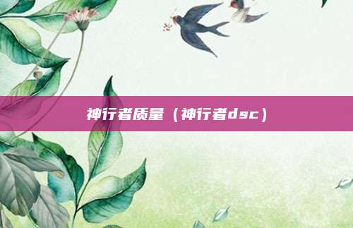 神行者质量(神行者dsc)