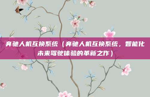 奔驰人机互换系统(奔驰人机互换系统,智能化未来驾驶体验的革新之作)