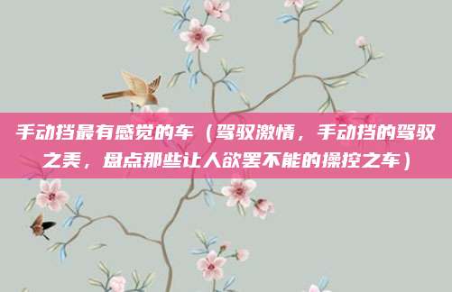 手动挡最有感觉的车（驾驭激情，手动挡的驾驭之美，盘点那些让人欲罢不能的操控之车）