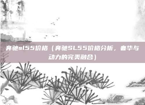 奔驰sl55价格（奔驰SL55价格分析，奢华与动力的完美融合）