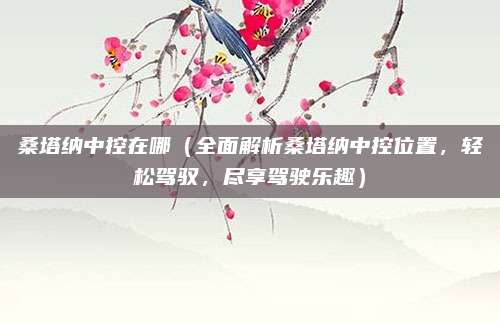 桑塔纳中控在哪（全面解析桑塔纳中控位置，轻松驾驭，尽享驾驶乐趣）
