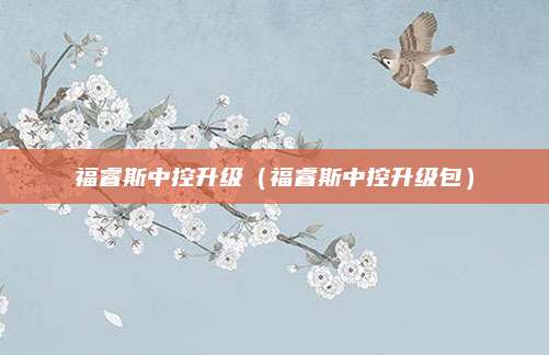福睿斯中控升级(福睿斯中控升级包)