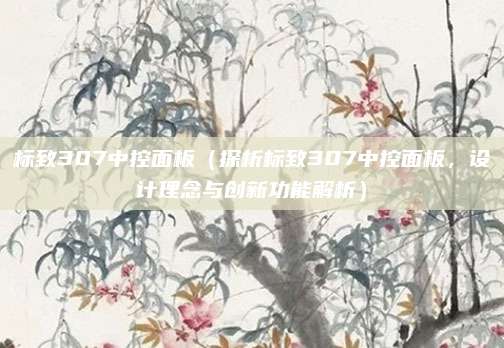 标致307中控面板(探析标致307中控面板,设计理念与创新功能解析)