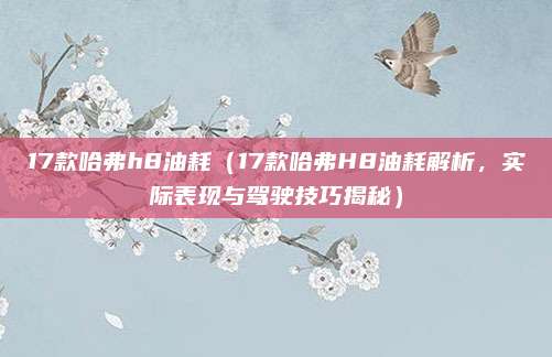 17款哈弗h8油耗（17款哈弗H8油耗解析，实际表现与驾驶技巧揭秘）