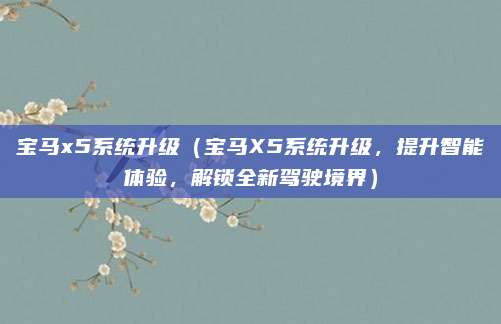 宝马x5系统升级(宝马X5系统升级,提升智能体验,解锁全新驾驶境界)