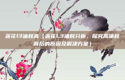 莲花l3油耗高（莲花L3油耗分析，探究高油耗背后的原因及解决方案）