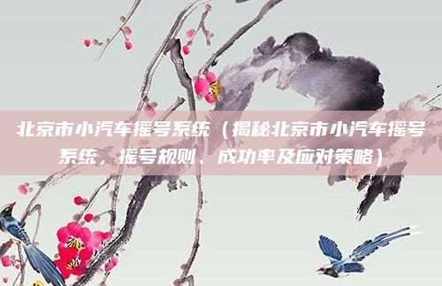北京市小汽车摇号系统(揭秘北京市小汽车摇号系统,摇号规则、成功率及应对策略)