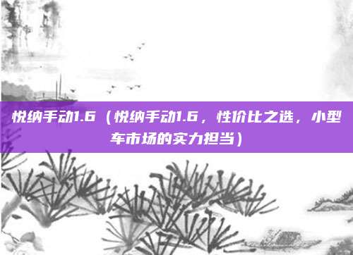 悦纳手动1.6(悦纳手动1.6,性价比之选,小型车市场的实力担当)