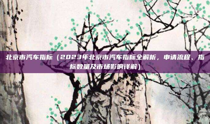 北京市汽车指标(2023年北京市汽车指标全解析,申请流程、指标数量及市场影响详解)
