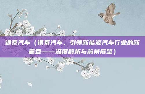 银泰汽车(银泰汽车,引领新能源汽车行业的新篇章——深度解析与前景展望)