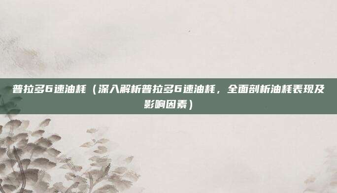 普拉多6速油耗(深入解析普拉多6速油耗,全面剖析油耗表现及影响因素)