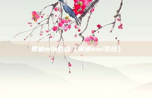 奥迪mlb系统(奥迪nmi系统)