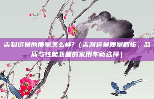 吉利远景的质量怎么样?（吉利远景质量解析，品质与性能兼备的家用车新选择）