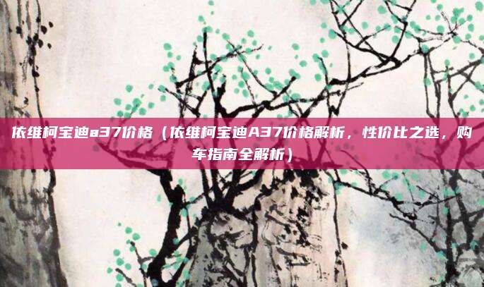 依维柯宝迪a37价格（依维柯宝迪A37价格解析，性价比之选，购车指南全解析）