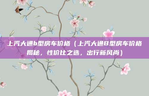 上汽大通b型房车价格（上汽大通B型房车价格揭秘，性价比之选，出行新风尚）