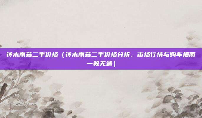铃木雨燕二手价格（铃木雨燕二手价格分析，市场行情与购车指南一览无遗）