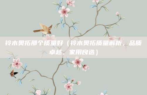 铃木奥拓那个质量好（铃木奥拓质量解析，品质卓越，家用良选）