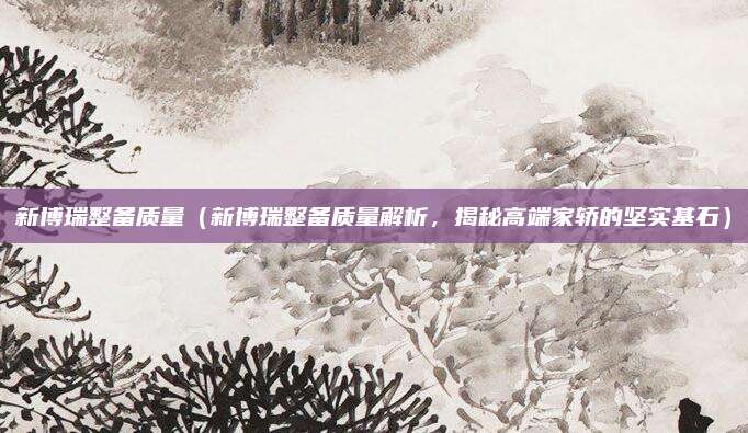 新博瑞整备质量(新博瑞整备质量解析,揭秘高端家轿的坚实基石)