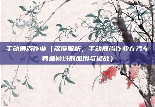 手动辰尚作业(深度解析,手动辰尚作业在汽车制造领域的应用与挑战)