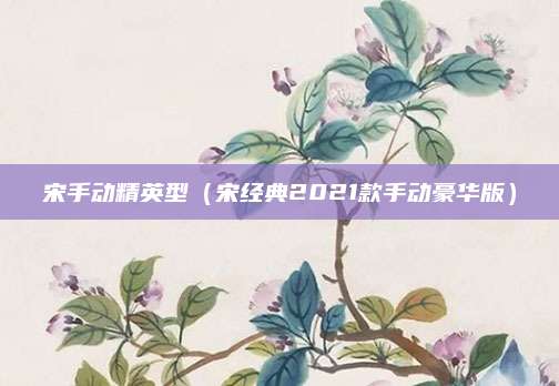宋手动精英型(宋经典2021款手动豪华版)