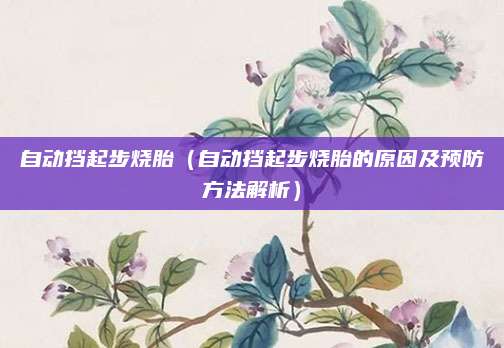 自动挡起步烧胎(自动挡起步烧胎的原因及预防方法解析)