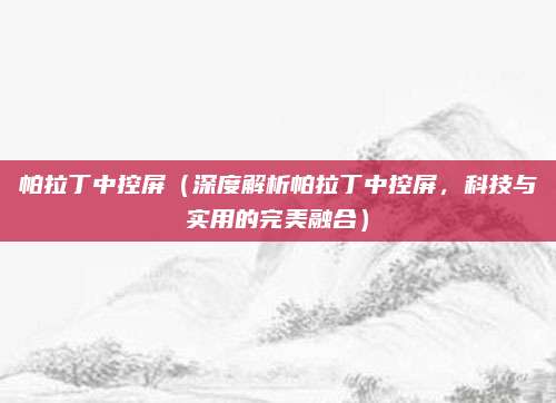 帕拉丁中控屏(深度解析帕拉丁中控屏,科技与实用的完美融合)