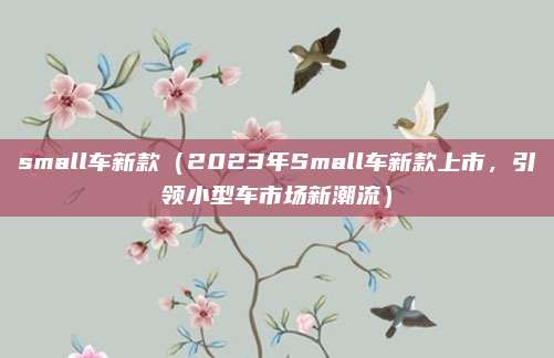 small车新款(2023年Small车新款上市,引领小型车市场新潮流)