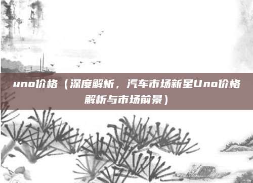 uno价格(深度解析,汽车市场新星Uno价格解析与市场前景)