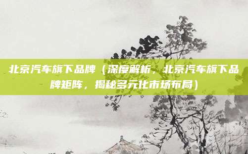北京汽车旗下品牌(深度解析,北京汽车旗下品牌矩阵,揭秘多元化市场布局)