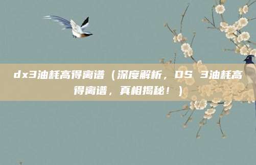 dx3油耗高得离谱(深度解析,DS 3油耗高得离谱,真相揭秘!)
