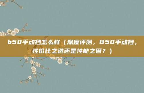 b50手动挡怎么样（深度评测，B50手动挡，性价比之选还是性能之困？）