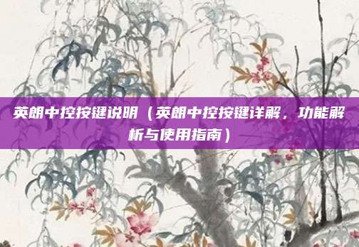 英朗中控按键说明(英朗中控按键详解,功能解析与使用指南)