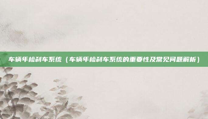 车辆年检刹车系统(车辆年检刹车系统的重要性及常见问题解析)
