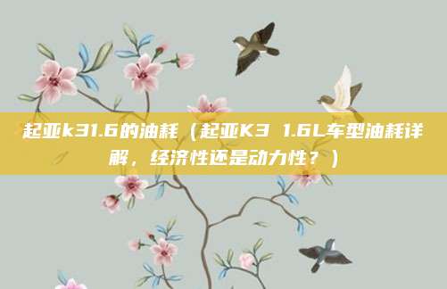 起亚k31.6的油耗(起亚K3 1.6L车型油耗详解,经济性还是动力性?)